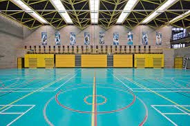 UNIVERSITY COLLEGE DUBLIN - DUBLINO